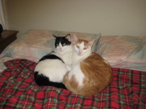 IMG_8800.JPG
