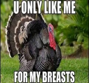 turkey funny 28.jpg