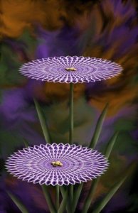 tumblr_ps05awTw901uoku8ao1_500.jpg