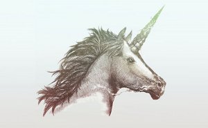 20140811_unicorn1feature.jpg