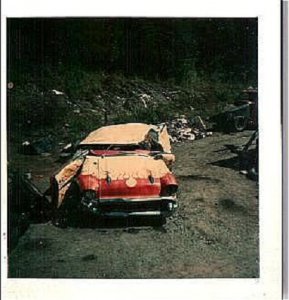 wildfire #4.jpg