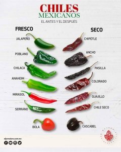 Mexican+capsicum+peppers+and+their+chiles.jpg