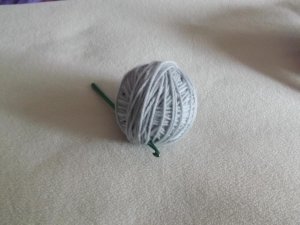 DSCF1895.jpg