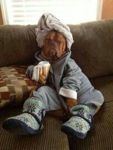 Me in the morning.jpg
