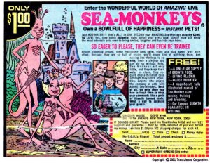 sea_monkeys.jpg