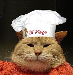 cat-chef-1.jpg