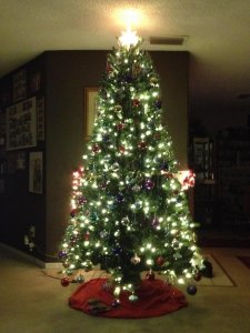 OurChristmas1.jpg