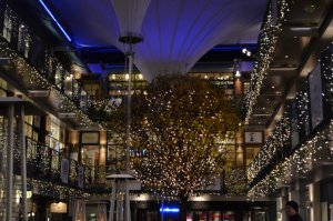christmas-lights-5-1.jpg