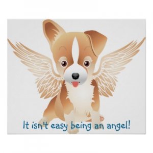 jack_russell_terrier_angel_dog_gift_poster-p228900673977899783trma_400.jpg