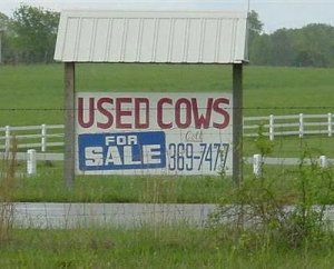 weird and funny signs flickzzz.com 6003-738763.jpg