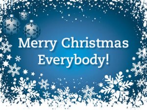 merry christmas.jpg