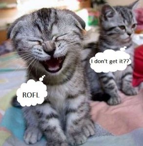 rofl.JPG