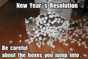 cat.jpg