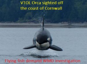 Orca.JPG