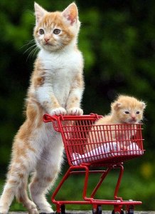 Shopping.jpg