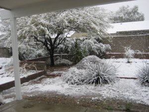 IMG_8893.JPG IMG_8893.JPG