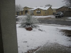 IMG_8895.JPG IMG_8895.JPG