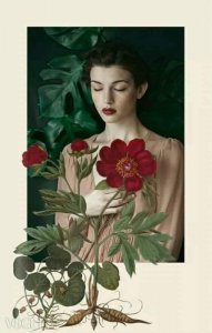 red blossoms.jpg