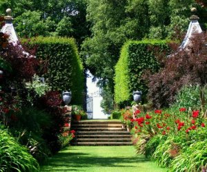 multi garden.jpg