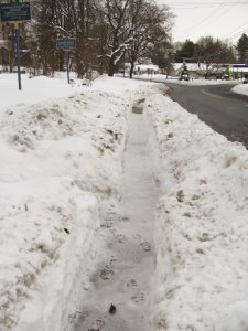 Ezekiel Dec 2019b.jpg