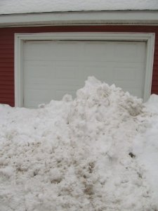 Ezekiel Dec 2019d.jpg