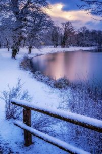 be350af7ce463b5f751b182f3c65a3f6--winter-scene-winter-photography-nature.jpg