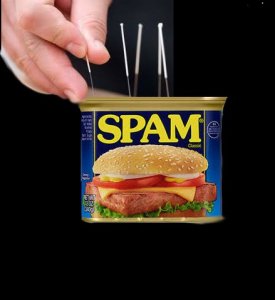 spam fin.jpg
