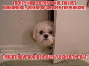 AC2D5076-F749-4516-AE81-83C5784AC3AD.jpeg
