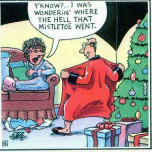 Christmas Humor funny pic (540).jpg