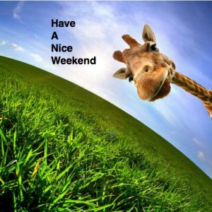 niceweekend.jpeg