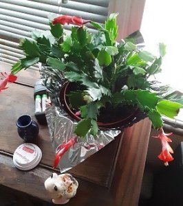 20191207_151714.jpg