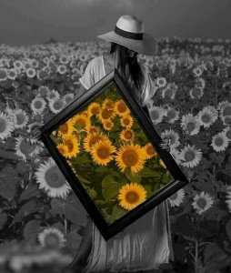 follow eccentric sunflowers.jpg