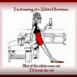 Funny-Christmas-Pictures-017.jpg