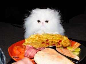 Omelette @.jpg