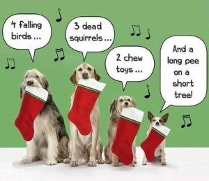 xmasdogs.jpg
