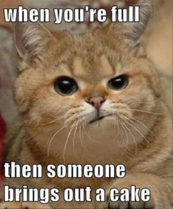 catcake.jpg