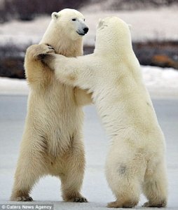 Waltzing @.jpg