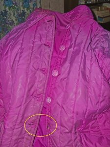 coat1.jpg