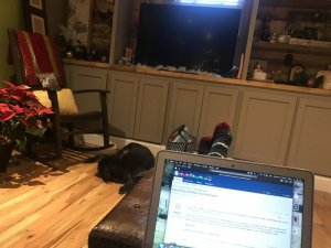 09461BF7-B457-4C8D-861A-BD9A590CD02D.jpeg