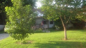 IMG_3705.JPG