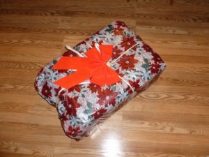 gift (1024x768).jpg