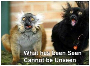 what has been seen.jpg