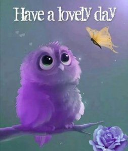 alovelyday.jpg