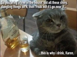 catdrink.jpg