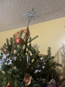 16F46954-C3D6-41D4-ABEE-BDA160D5BB8A.jpeg