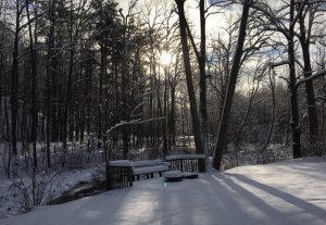 IMG_0175.JPG