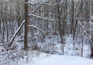 IMG_0176.JPG