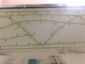 lights-on-diy-without-spending-anything-2.jpg