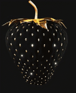 image.gif