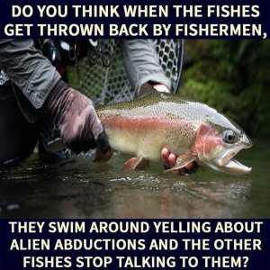 CA8460C0-7E2E-494E-866A-2D467B7500C4.jpeg